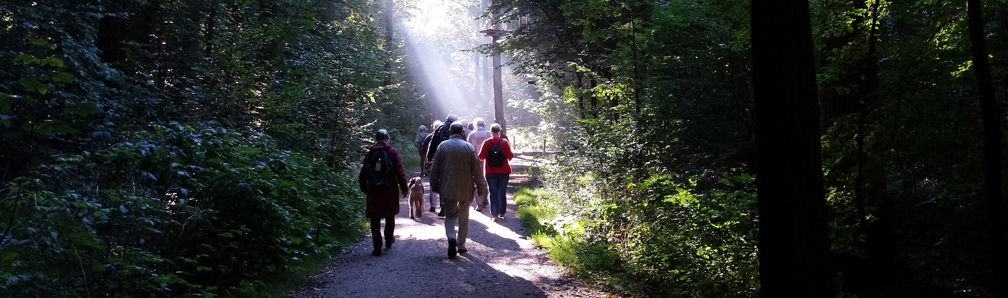 Wandergruppe von hinten